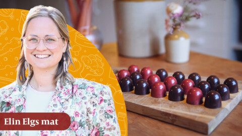 Elin Elgs recept: Utmana dig och gör egna praliner