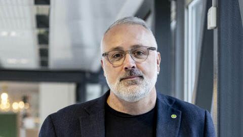 Miljöpartiet vill ta strid för generösare migrationspolitik