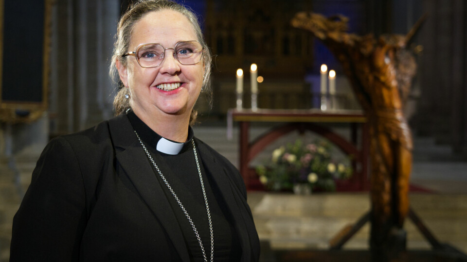 Domkyrka firar 800 år med egen öl