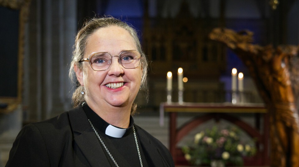 Domkyrka firar 800 år med eget öl