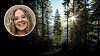 Mörk barrskog där ljuset skiner genom grenarna. Infälld bild på debattören Ellen Fhager.