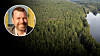 Flygfoto på svensk granskog, med vattendrag till höger. Infälld bild på debattören Daniel Grammer.