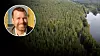 Flygfoto på svensk granskog, med vattendrag till höger. Infälld bild på debattören Daniel Grammer.