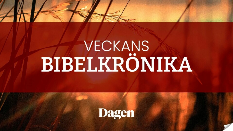 Veckans bibelkrönika. Veckans bibelkrönika.