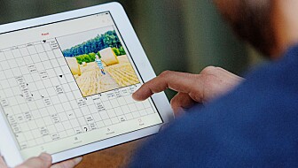 För dig som är prenumerant: Lös korsord på Dagen.se