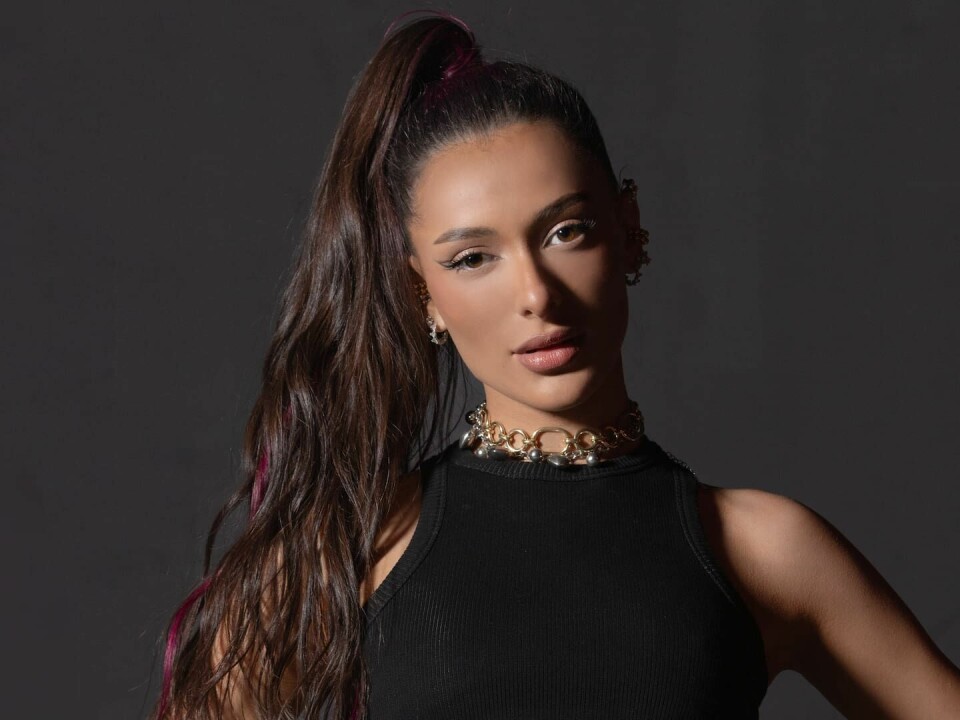 Den israeliska säkerhetstjänsten Shin Bet har avrått Eden Golan, Israel artist i Eurovision Song Contest, från att lämna hotellrummet i Malmö i onödan. Halvbild.