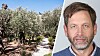 Israeliska myndigheter planerar att utöka nationalpark - kyrkoledare är kritiska