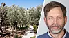 Israeliska myndigheter planerar att utöka nationalpark - kyrkoledare är kritiska