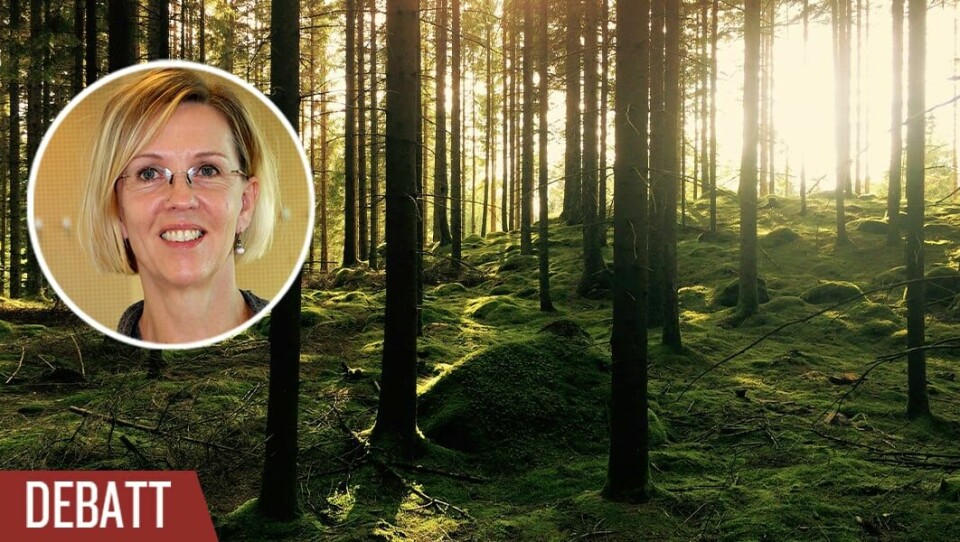 Politiker och skogsbolag tror att kalhuggning och manipulering genom gödsling ska kunna öka skogsavverkningen, det bygger på en total förnekelse, skriver Anneli Einarsson. Bilden är från skog i Hästhult, Skåne.