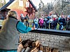Scouterna i Kärda Alliansförsamling överraskade de äldre med sång