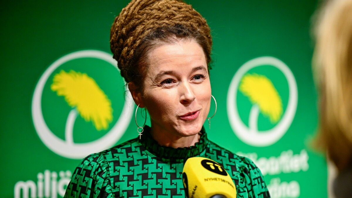 Amanda Lind F resl s Som Nytt MP spr kr r Dagen amanda-lind-f-resl-s-som-nytt-mp-spr-kr-r-dagen