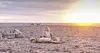 Mia Wasikowska i filmen 'Tracks'. Filmen bygger på en bok med samma namn av Robyn Davidson, som 1977 vandrade genom 2 700 kilometer öken tills hon nådde Indiska oceanen.