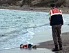 Bilden på den döde treåringen Aylan i turistorten Bodrum i Turkiet har spridits som en löpeld. ”Om bilden leder till handling och förändring har Aylan inte dött förgäves”, skriver Dagens ledarskribenter.