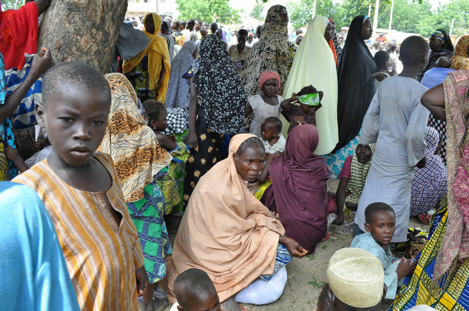 2 500 katoliker mördade av Boko Haram ###
