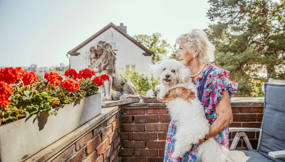 Birgitta Edström, 85, artist och författare, med hunden Prins. 2024-08-29 Birgitta Edström, artist och författare med hunden Prinsen