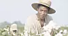 Chiwetel Ejiofor gör rollen som slaven Solomon Northup