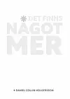 'Det finns något mer' av Daniel Collin Holgersson
