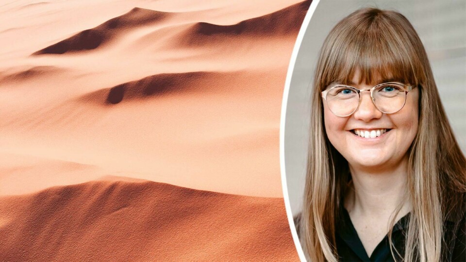 Den kristna kommunitetstanken har sina rötter i eremitrörelsen, ökenmödrar och ökenfäder som levde ensamma i grottor i den egyptiska öknen, skriver Eleonore Gustafsson. Sanddynor i en öken. Infälld bild på Eleonore Gustafsson.