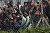 Migranter, de flesta från Pakistan, protesterar mot överenskommelsen mellan EU och Turkietinnanför stängslet på lägret i Moria på den grekiska ön Lesbos. (AP Photo/Petros Giannakouris)