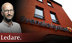 Har Svenska kyrkan drabbats av moralpanik?