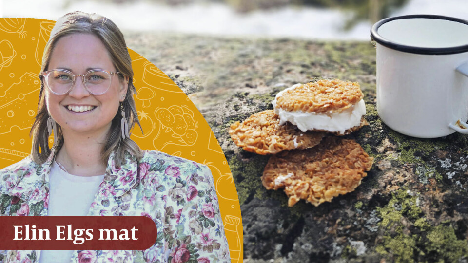 Pippis besökskakor är det perfekta utflyktsfikat, som går mycket snabbt att slänga ihop. Pippis besökskakor är det perfekta utflyktsfikat, som går mycket snabbt att slänga ihop.