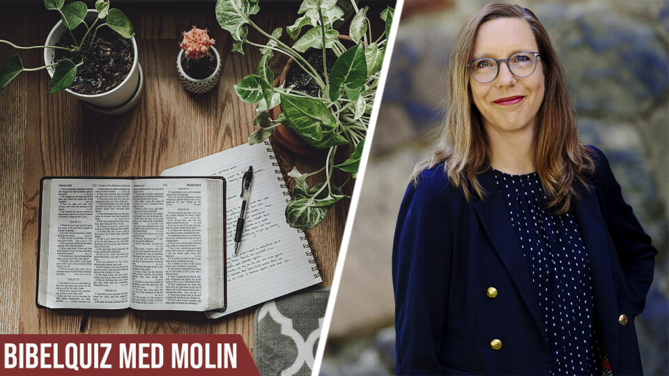 Bibelquiz med Åsa Molin om växter Bibelquiz med Åsa Molin om växter