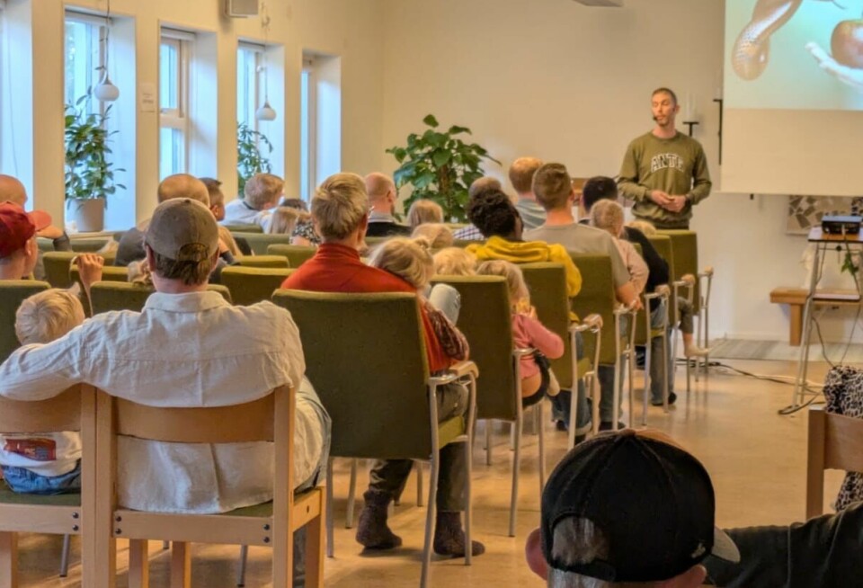 Under pappalägret fanns tid både för gemenskap barn och vuxna emellan, och tid för papporna att hinna prata med varandra.