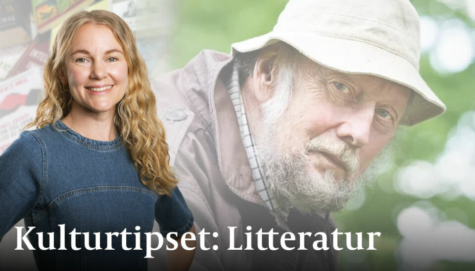 Det finns något i Torgny Lindgrens skrivsätt som gör att jag läser hans böcker extra uppmärksamt.