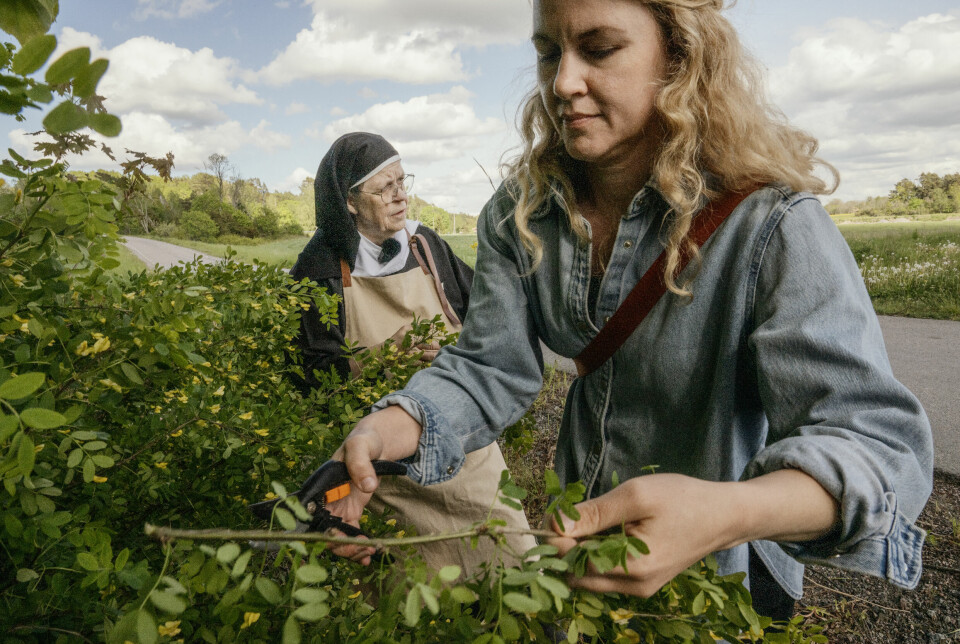 Malina provar på klosterliv: ”Nu har jag aldrig bråttom längre”