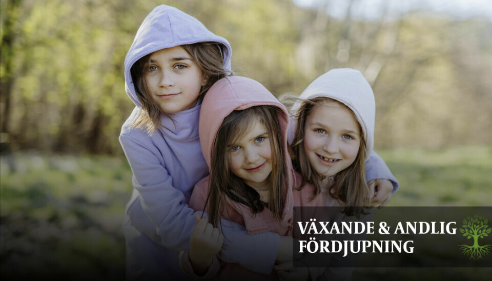Hur hjälps vi åt att utveckla goda sätt att vara församling så att så många som möjligt kan bli andliga fäder och mödrar för nya i tron?