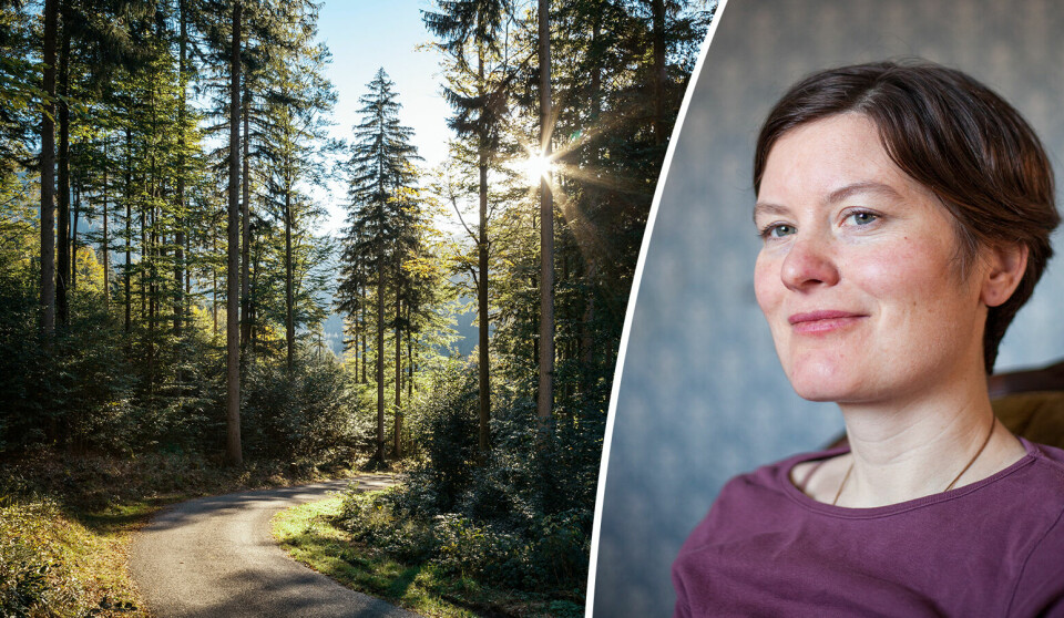Alva Hjulman Dahl lyssnar gärna på vindens susningar i löven, men helst tystanden.