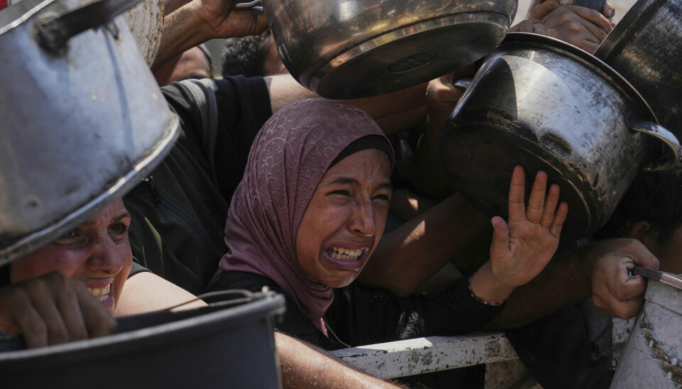De civilas lidande är ofattbart. Varje dag kämpar palestinier för att få mat med sig hem, här från en matutdelningszon i Gaza city i norra Gaza, lördag 26 juli.