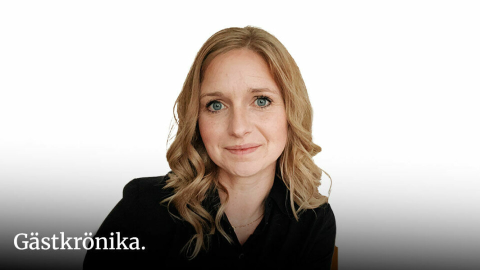 Ida-Maria Brengesjö:
Unga söker Jesus på Tiktok – men möts av en tyst kyrka
