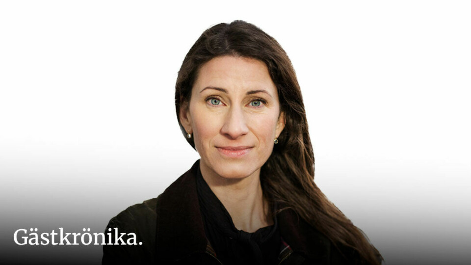 Susanna Birgersson:
Farligt att ställa frågor om prideflaggan