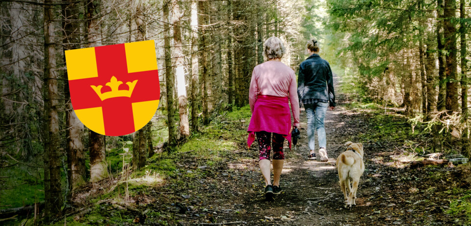 Ja till skogen, nej till partierna, var väljarnas besked.